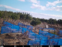 Dec 30 2025 13:11:53, #01