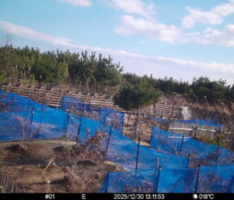 Dec 30 2025 13:11:53, #01