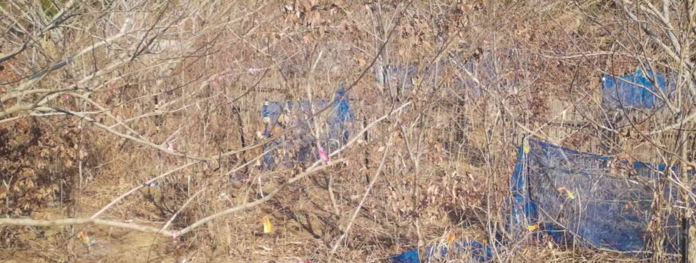 Dec 30 2025 13:13:48, #01