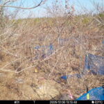 Dec 30 2025 13:13:48, #01