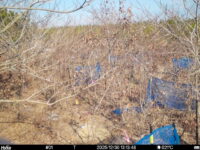 Dec 30 2025 13:13:48, #01