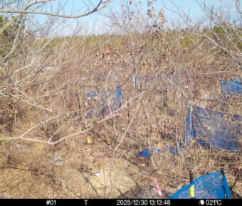 Dec 30 2025 13:13:48, #01