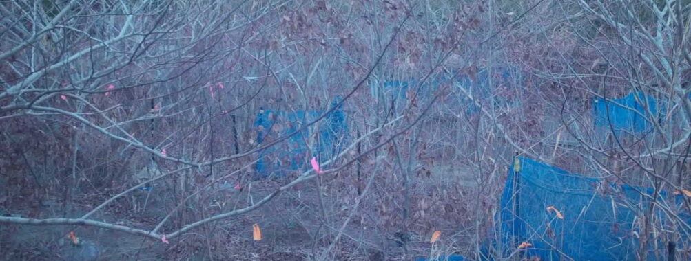 Dec 30 2025 16:13:48, #01