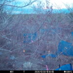 Dec 30 2025 16:13:48, #01