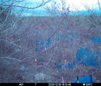 Dec 30 2025 16:13:48, #01