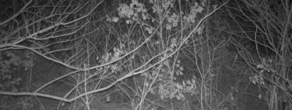 Dec 30 2025 19:13:48, #01