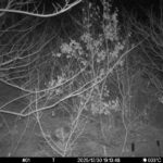 Dec 30 2025 19:13:48, #01