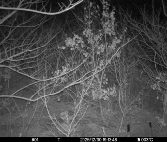 Dec 30 2025 19:13:48, #01