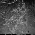 Dec 30 2025 22:13:46, #01