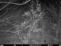 Dec 30 2025 22:13:46, #01