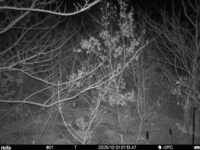 Dec 31 2025  1:13:47, #01