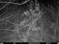 Dec 31 2025  4:13:47, #01