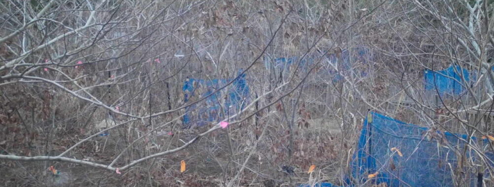 Dec 31 2025  7:13:48, #01