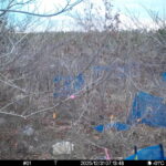 Dec 31 2025  7:13:48, #01