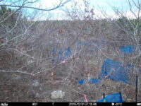 Dec 31 2025  7:13:48, #01