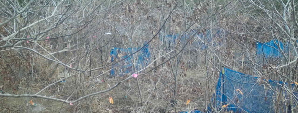 Dec 31 2025 10:13:48, #01