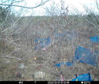 Dec 31 2025 10:13:48, #01