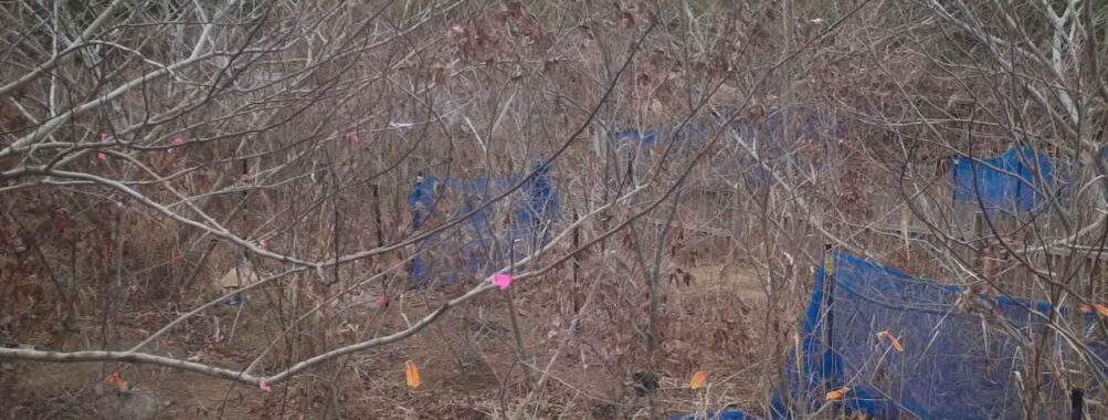 Dec 31 2025 13:13:48, #01