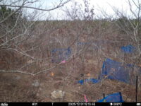 Dec 31 2025 13:13:48, #01