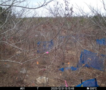 Dec 31 2025 13:13:48, #01