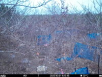 Dec 31 2025 16:13:48, #01