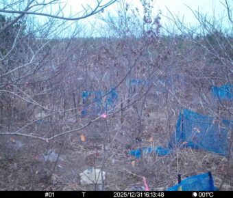 Dec 31 2025 16:13:48, #01