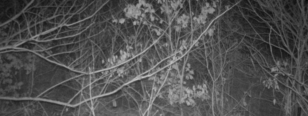 Dec 31 2025 19:13:48, #01