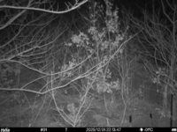 Dec 31 2025 22:13:47, #01