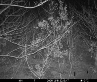 Dec 31 2025 22:13:47, #01