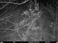 Jan 1 2026  1:13:46, #01