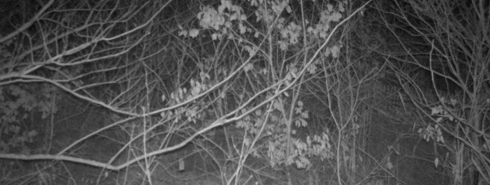 Jan 1 2026  4:13:47, #01