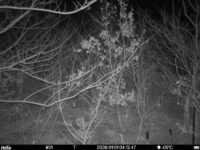 Jan 1 2026  4:13:47, #01