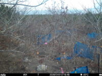 Jan 1 2026  7:13:47, #01