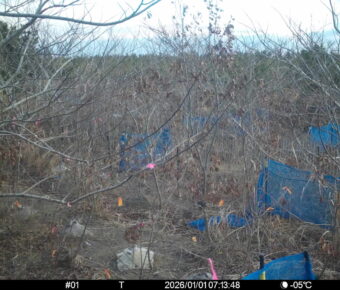 Jan 1 2026  7:13:47, #01