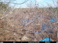 Jan 1 2026 10:13:48, #01