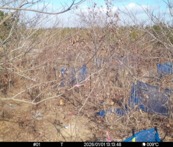 Jan 1 2026 13:13:48, #01