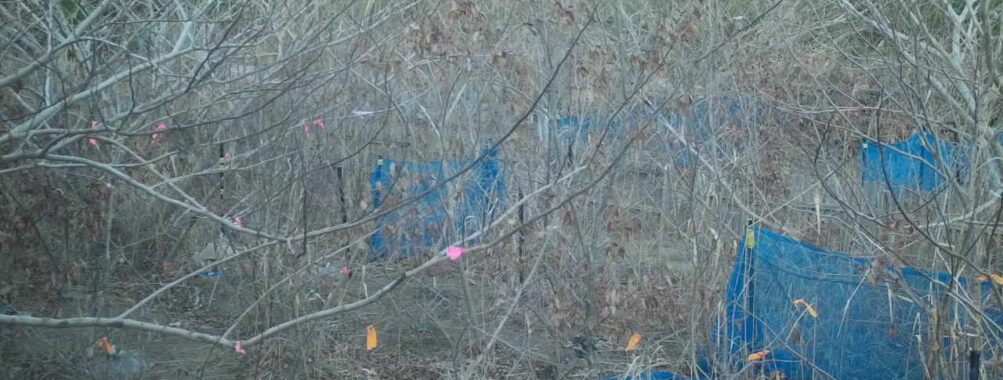 Jan 1 2026 16:13:47, #01