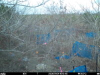 Jan 1 2026 16:13:47, #01