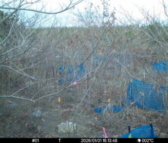 Jan 1 2026 16:13:47, #01