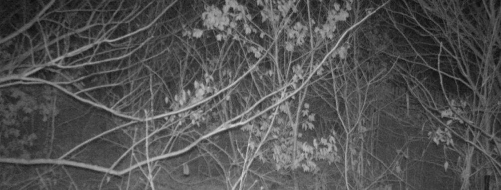 Jan 1 2026 19:13:48, #01