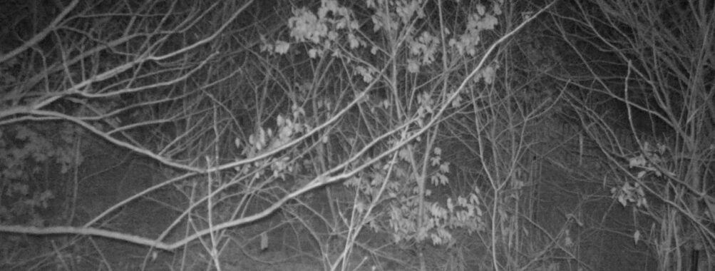 Jan 1 2026 22:13:47, #01