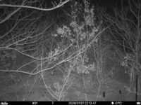 Jan 1 2026 22:13:47, #01