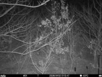 Jan 2 2026  1:13:47, #01