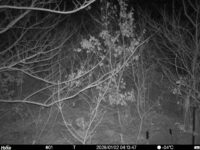 Jan 2 2026  4:13:46, #01