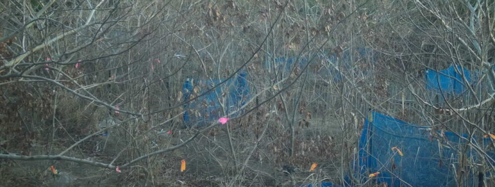 Jan 2 2026  7:13:48, #01