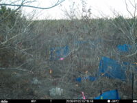 Jan 2 2026  7:13:48, #01