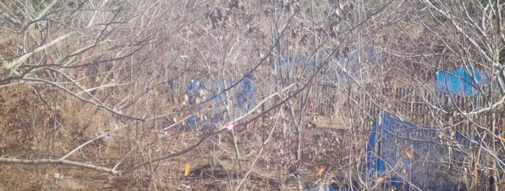 Jan 2 2026 10:13:47, #01