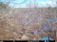 Jan 2 2026 10:13:47, #01