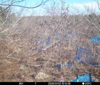 Jan 2 2026 10:13:47, #01