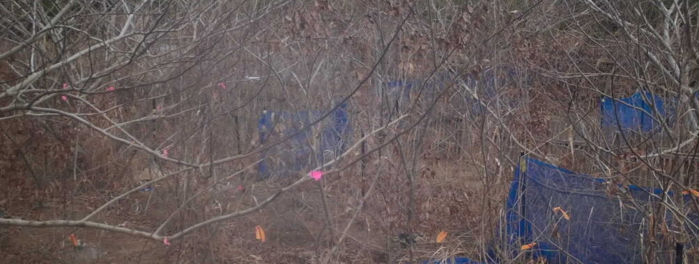 Jan 2 2026 13:13:46, #01